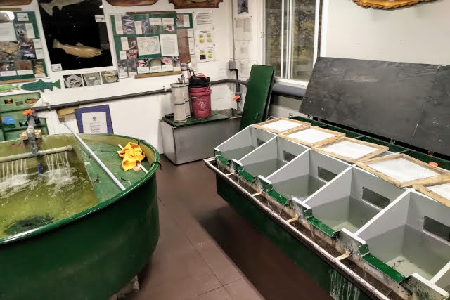 Hatchery Interior 1